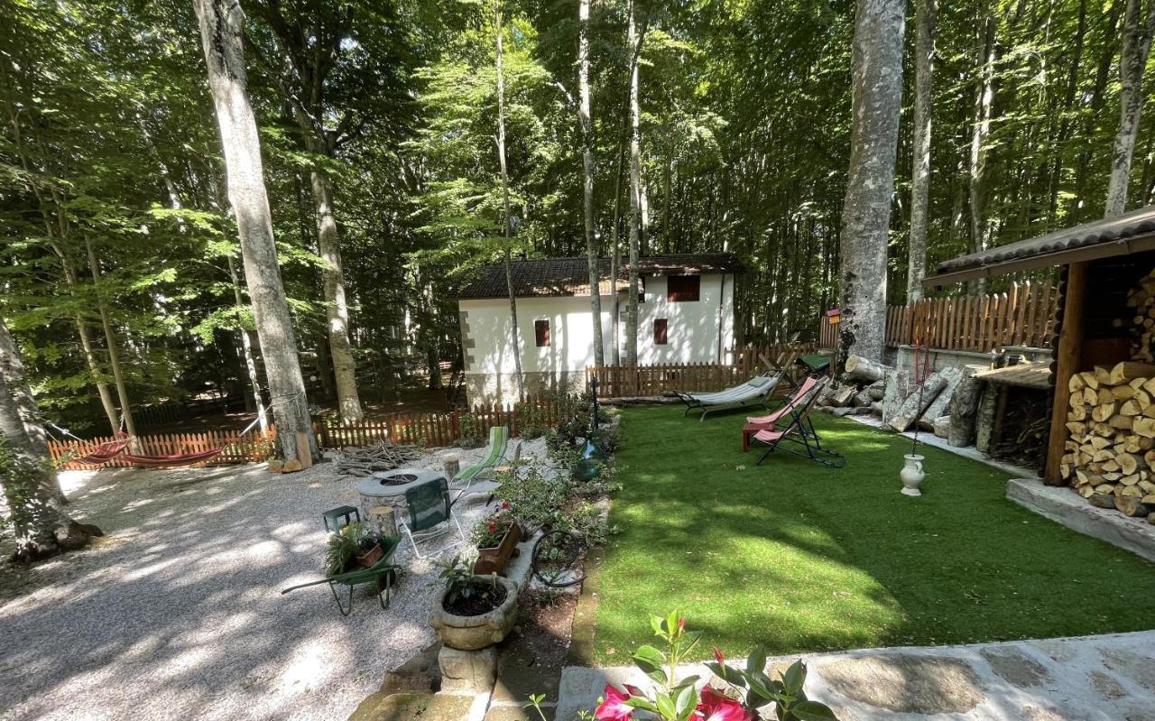 Chalet I Folletti Appartement Abbadia San Salvator Buitenkant foto