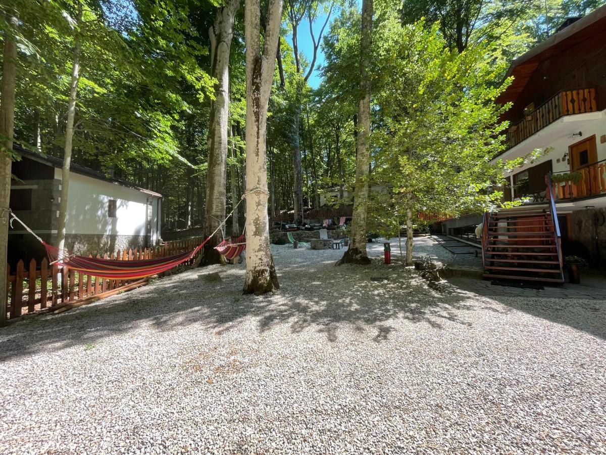 Chalet I Folletti Appartement Abbadia San Salvator Buitenkant foto