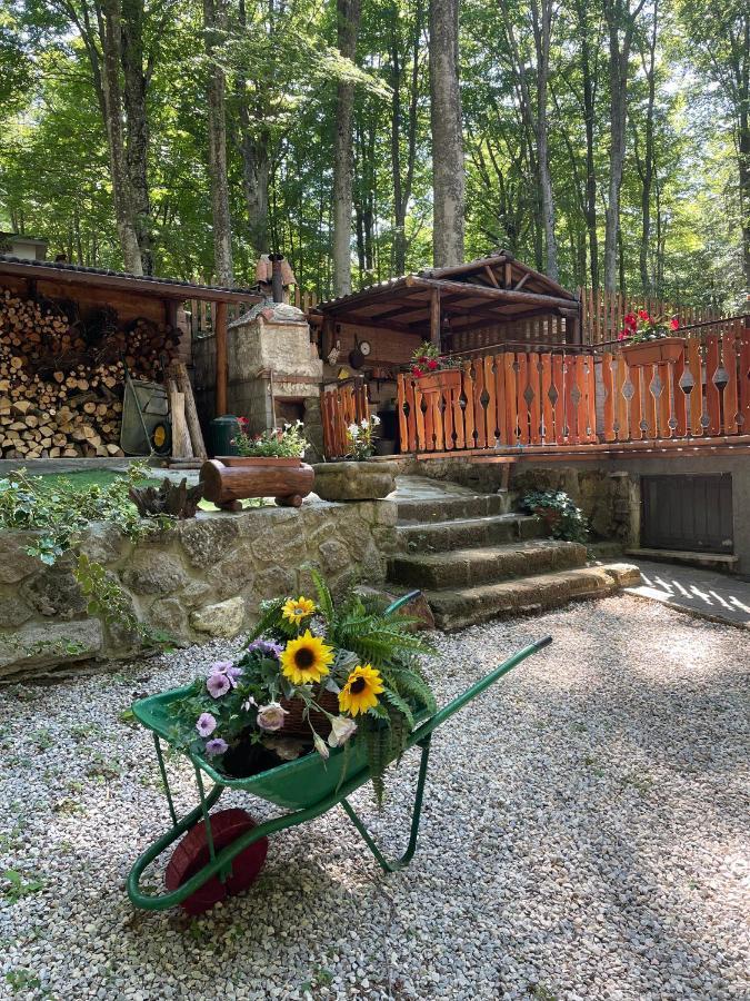 Chalet I Folletti Appartement Abbadia San Salvator Buitenkant foto